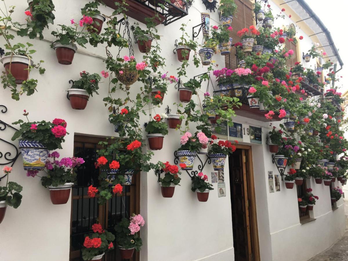 Buhardilla De Wallada 코르도바 외부 사진